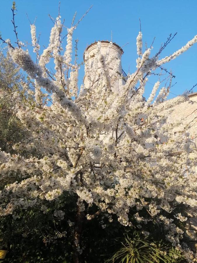 B&B Vicidomini San Marco dei Cavoti Bagian luar foto